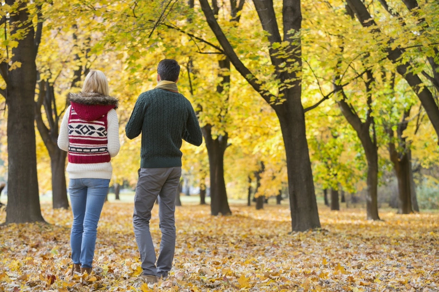 Wandern im Wienerwald ist Pflicht für jeden Wiener im Herbst